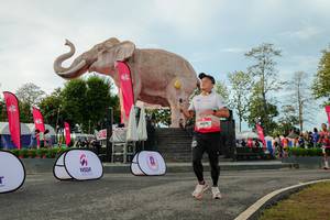 BIB: 
                            <button type="button" onclick="openModal(26529109)" class="btn btn-primary btn-sm float-right btn-popup" data-toggle="modal" data-target=".modal-high-quality">
                        <i class="fas fa-shopping-cart"></i> Add to Cart
                    </button>
                                            <button type="button" onclick="isThisMe(26529109, true)" class="btn btn-success btn-sm float-right btn-popup btn-isme hidden" data-toggle="tooltip" data-placement="bottom" title="นี่คือรูปของคุณใช่ไหม คลิกที่นี่เพื่อเอาเข้าอัลบั้ม">
                        <i class="fas fa-plus"></i> Add to album
                    </button>
                    <button type="button" onclick="isThisMe(26529109, false)" class="btn btn-warning btn-sm float-right btn-popup btn-isnotme hidden">
                        <i class="fas fa-ban"></i> Remove from album
                    </button>